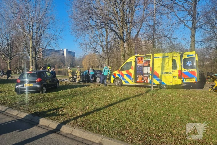 Auto raakt van de weg en botst tegen boom