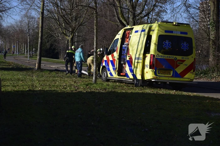 Auto raakt van de weg en botst tegen boom