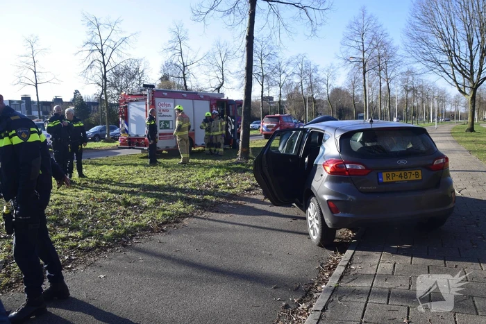 Auto raakt van de weg en botst tegen boom