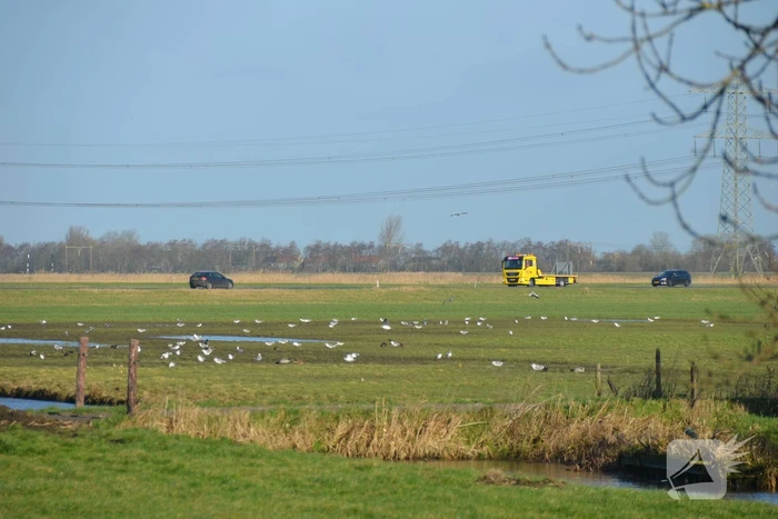 Paardentrailer gekanteld langs de weg