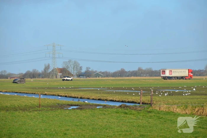 Paardentrailer gekanteld langs de weg