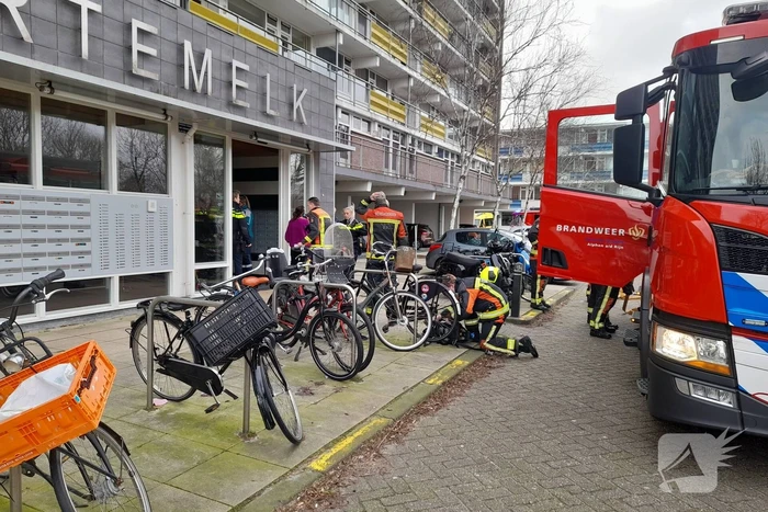 Brand in flatwoning