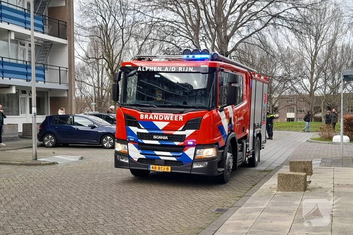 Brand in flatwoning