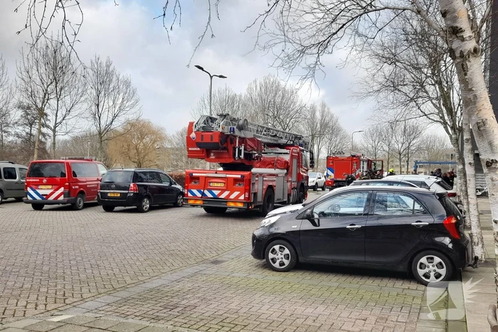 Brand in flatwoning