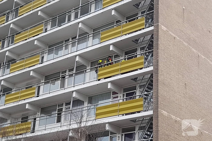 Brand in flatwoning