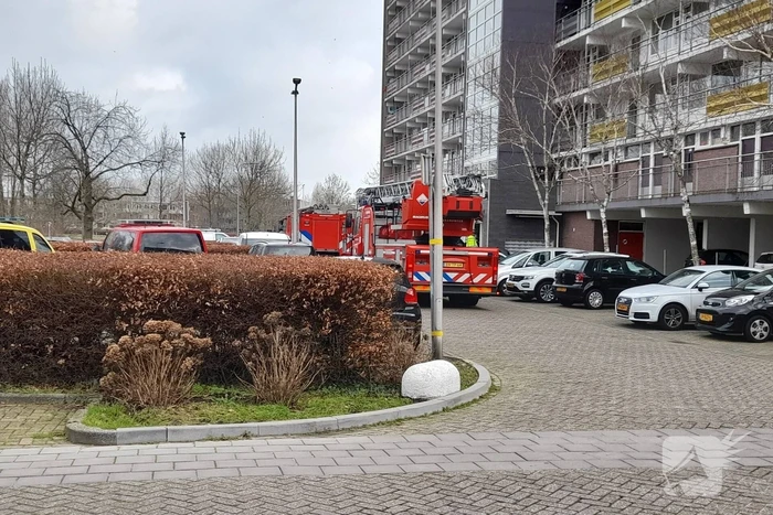 Brand in flatwoning