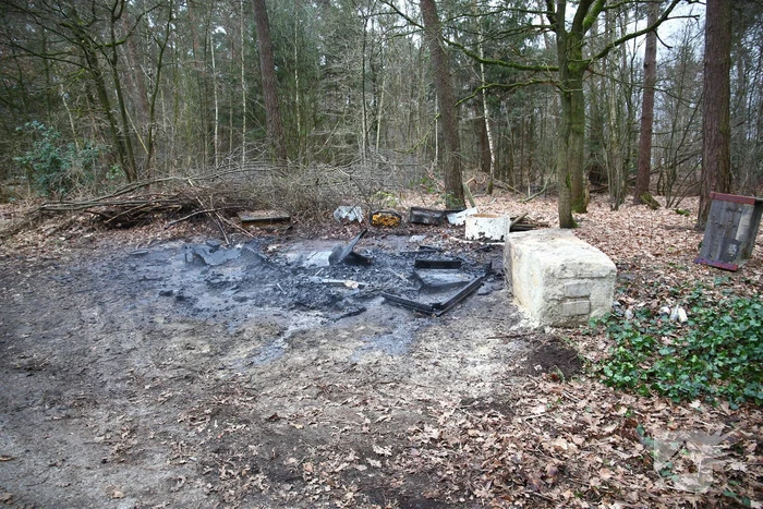 Brandweer blust brand in bosgebied