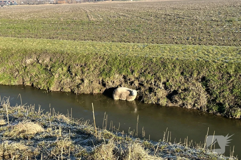 Veerweg Numansdorp 112 