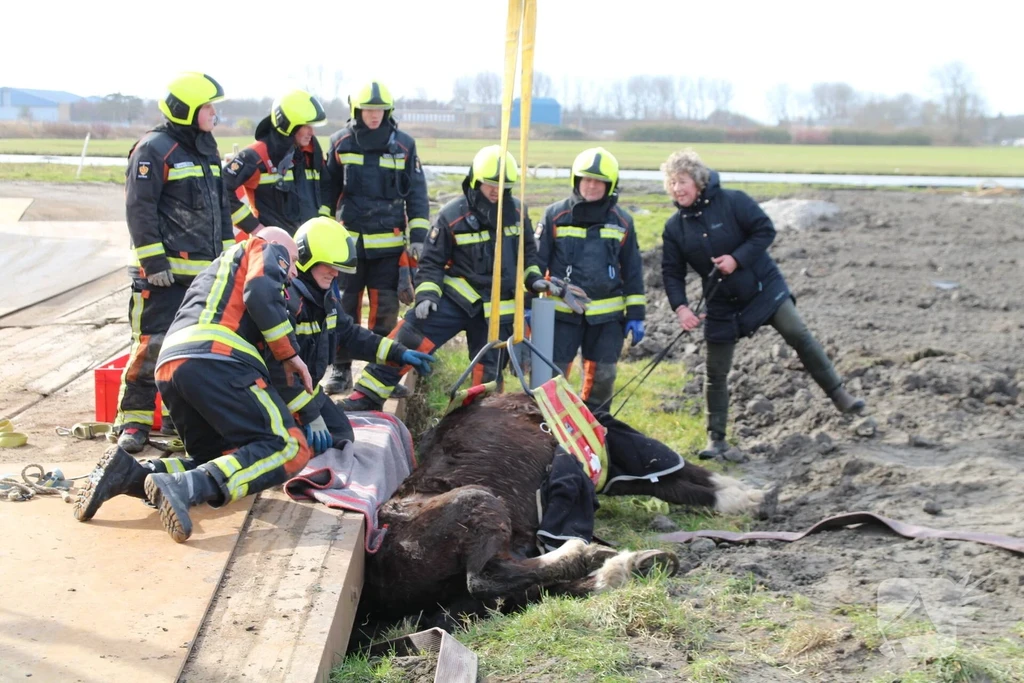 Kooltuinweg Nieuws Katwijk 