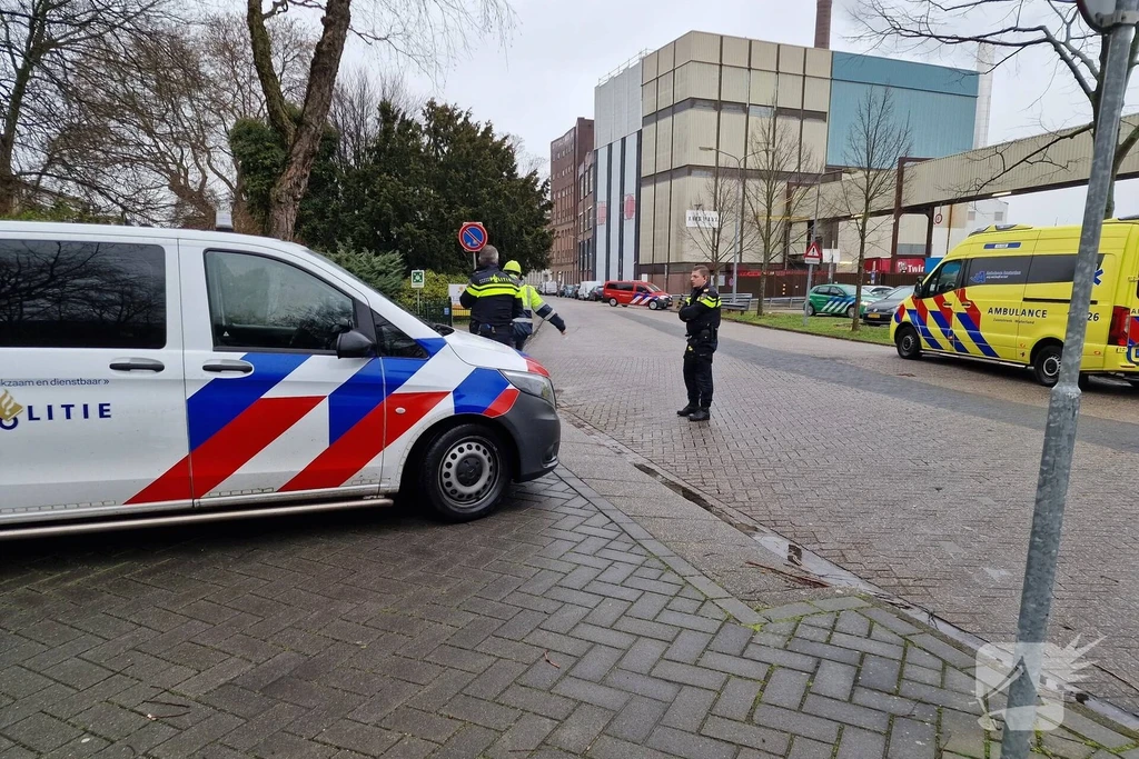 Koog aan de Zaan