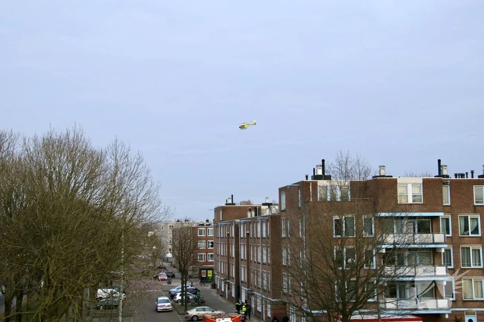 Gebied afgezet na steekpartij