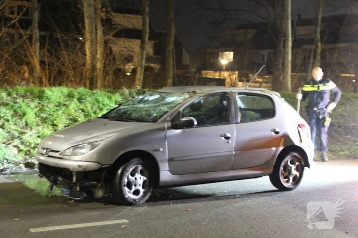 Automobilist slaat over de kop