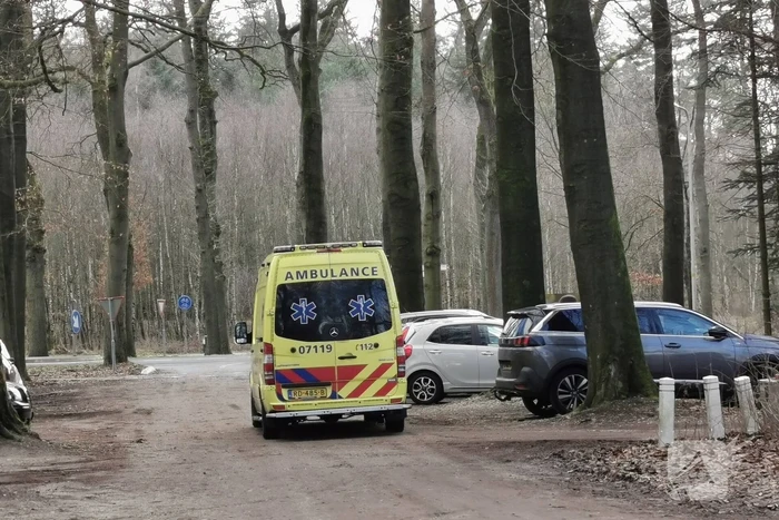 Mountainbiker hard ten val in bos