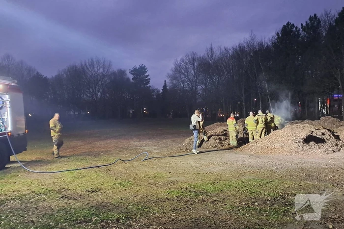 Brand in berg met bladeren