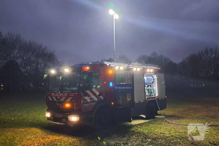 Brand in berg met bladeren