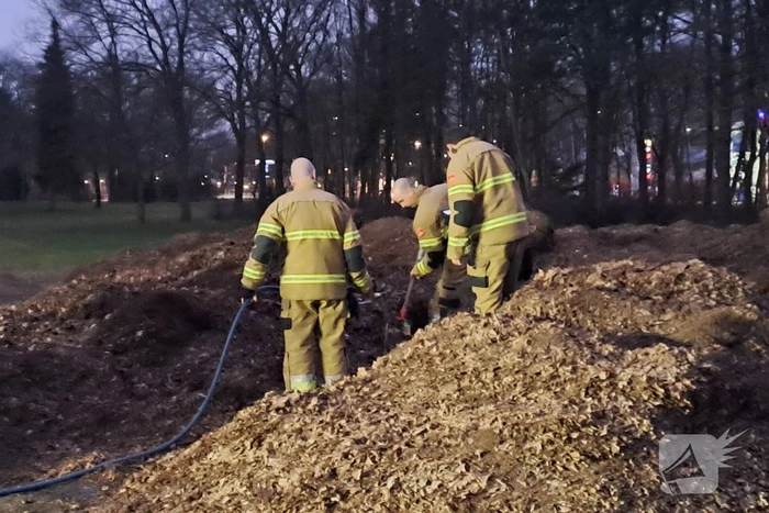 Brand in berg met bladeren