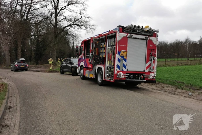 Vastzittende pony gered door brandweer