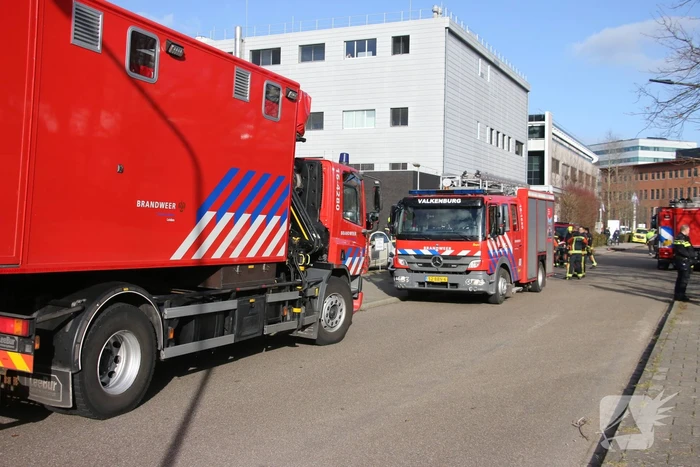 Kolf in laboratorium gebarsten