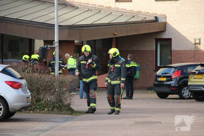 Kolf in laboratorium gebarsten