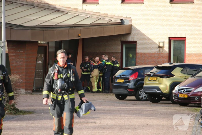 Kolf in laboratorium gebarsten