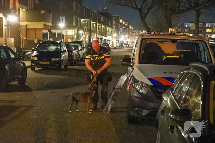 Agressieve hond valt kind aan