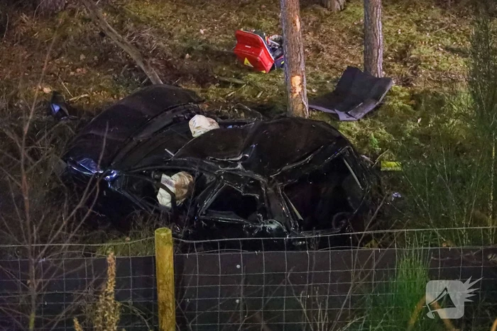 Automobilist crasht en komt meterlager tot stilstand