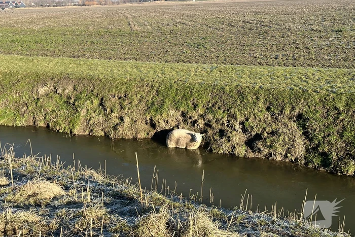 nieuws veerweg numansdorp