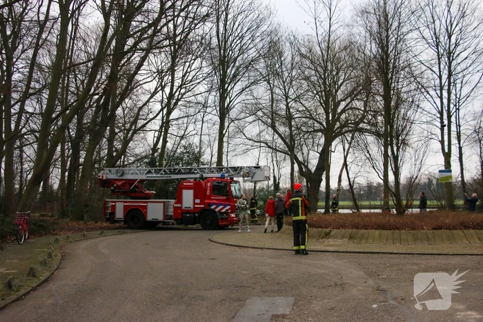 nieuws willem warnaarlaan sassenheim