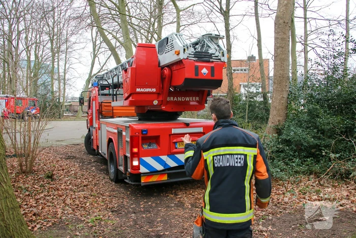 Poes zoekt het hogerop
