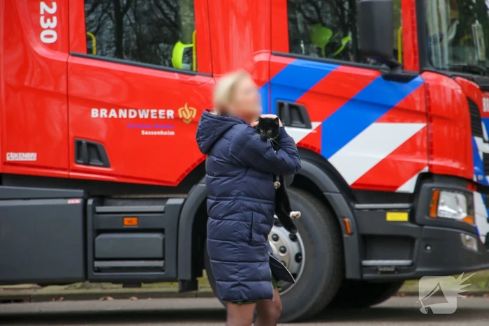 Poes zoekt het hogerop