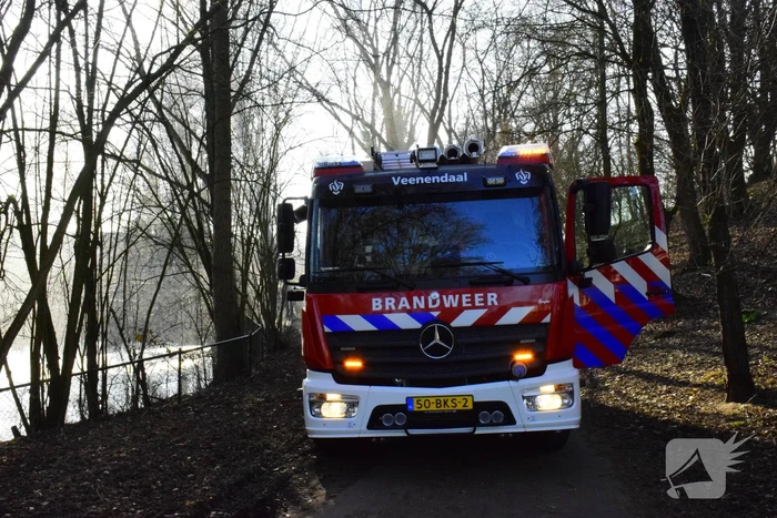 Brandweer probeert kat uit boom te spuiten
