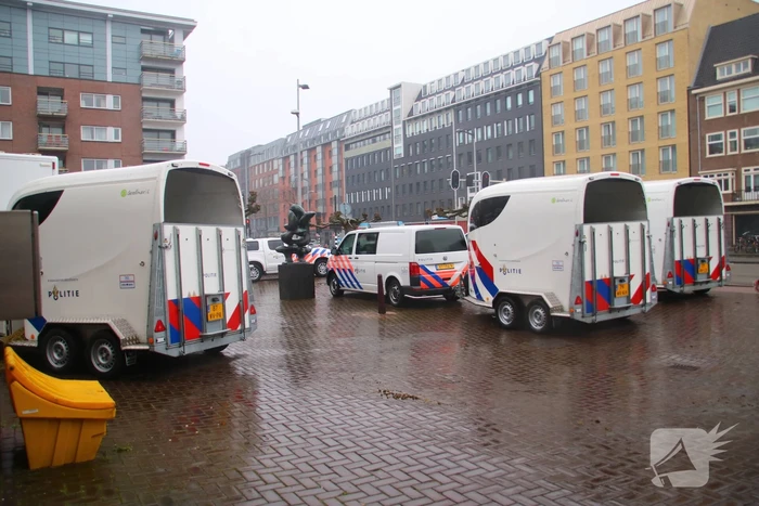 Stadsreiniging druk met rommel van supporters