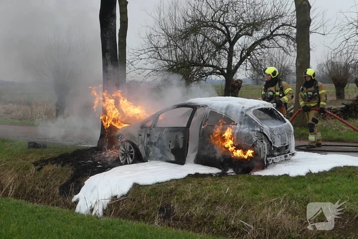 Auto vat vlam na frontale botsing tegen boom