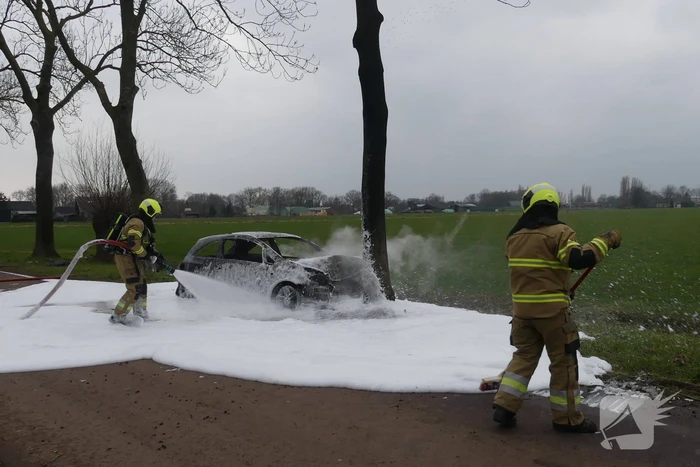 Auto vat vlam na frontale botsing tegen boom