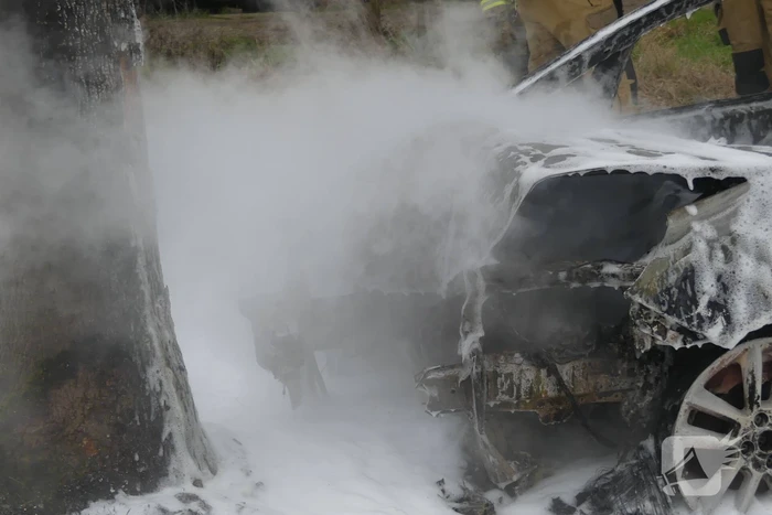 Auto vat vlam na frontale botsing tegen boom