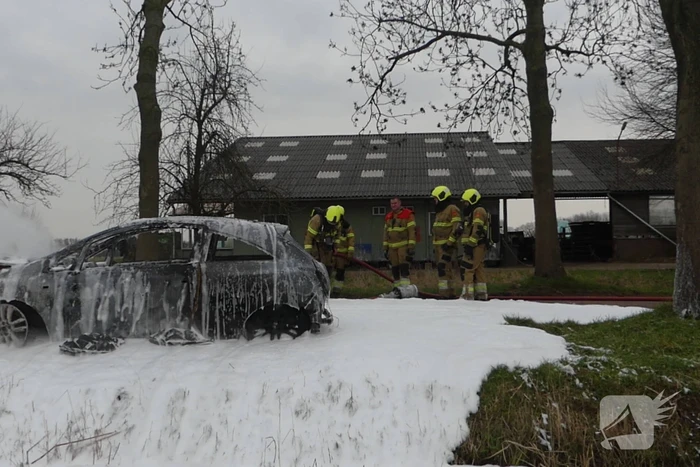 Auto vat vlam na frontale botsing tegen boom