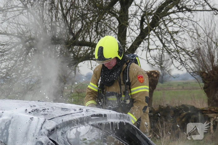 Auto vat vlam na frontale botsing tegen boom