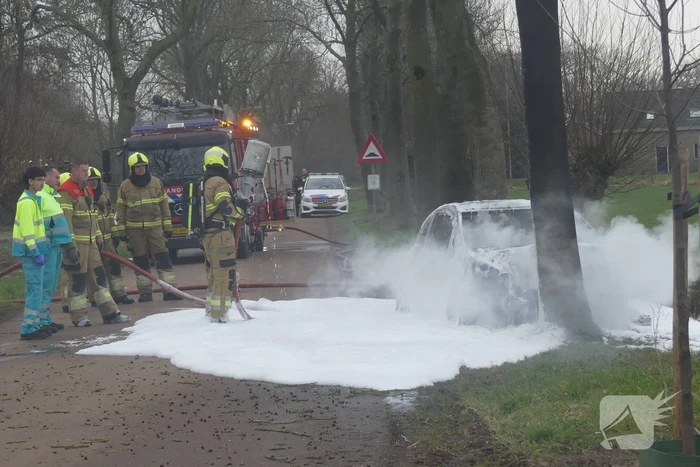 Auto vat vlam na frontale botsing tegen boom