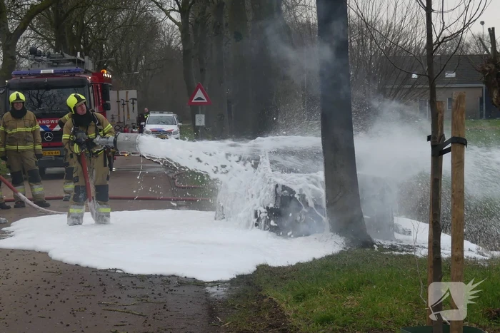 Auto vat vlam na frontale botsing tegen boom