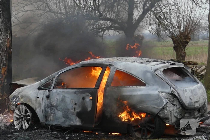 Auto vat vlam na frontale botsing tegen boom