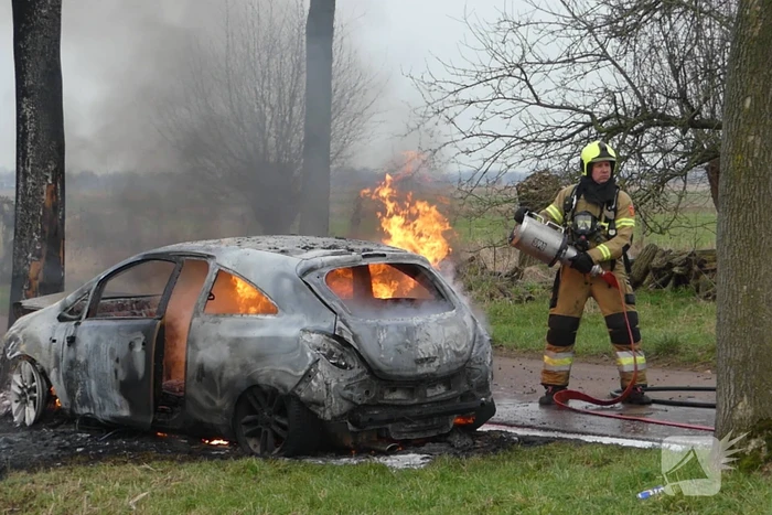 Auto vat vlam na frontale botsing tegen boom