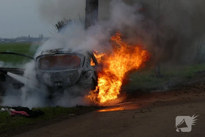 Auto vat vlam na frontale botsing tegen boom