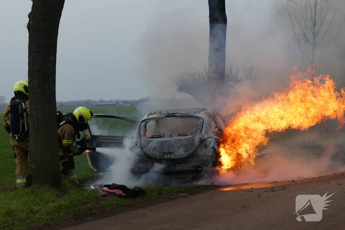 Auto vat vlam na frontale botsing tegen boom