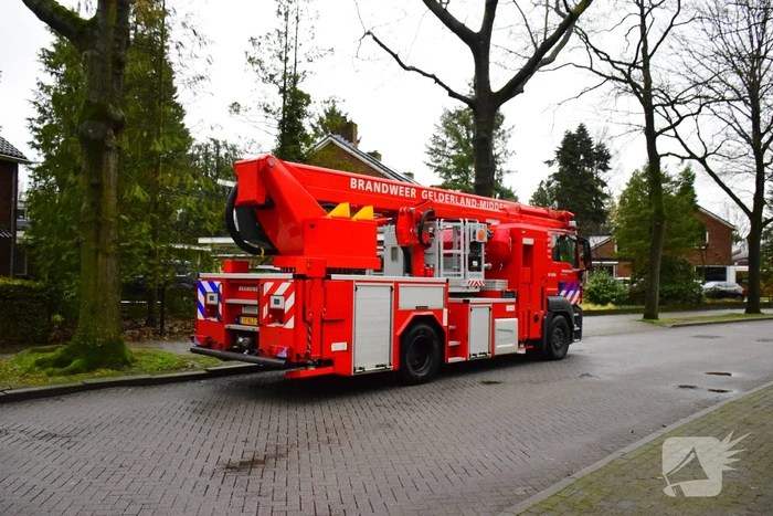 Brandweer redt kat uit boom