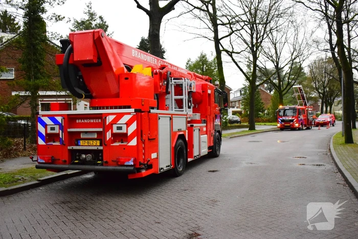 Brandweer redt kat uit boom