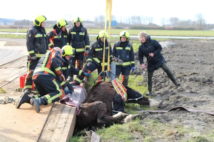 nieuws kooltuinweg katwijk