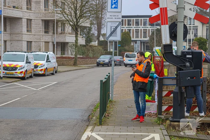 Vos aangereden door trein