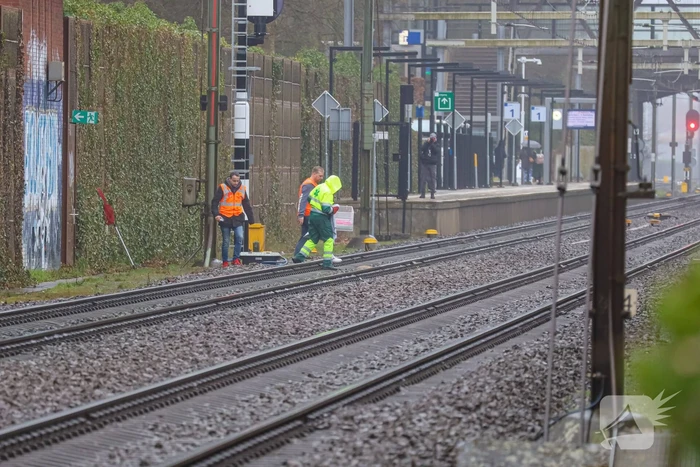 Vos aangereden door trein
