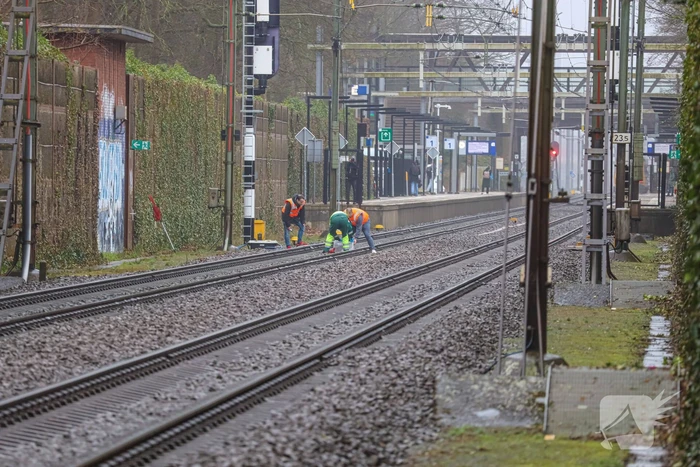 Vos aangereden door trein