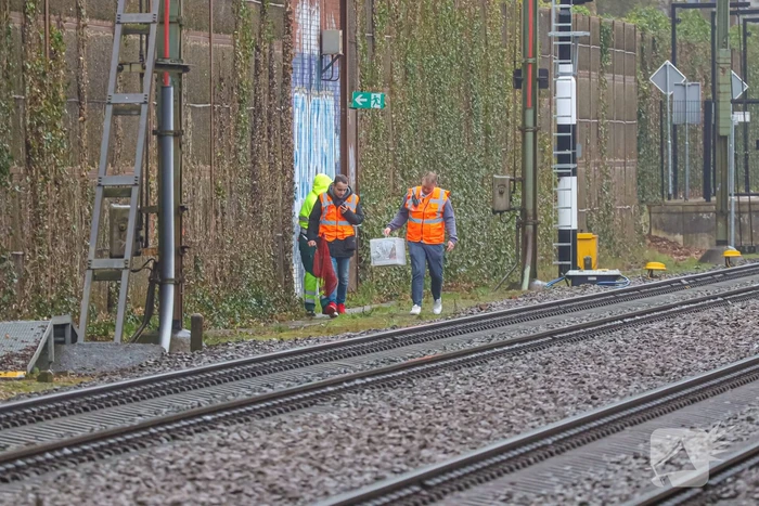 Vos aangereden door trein